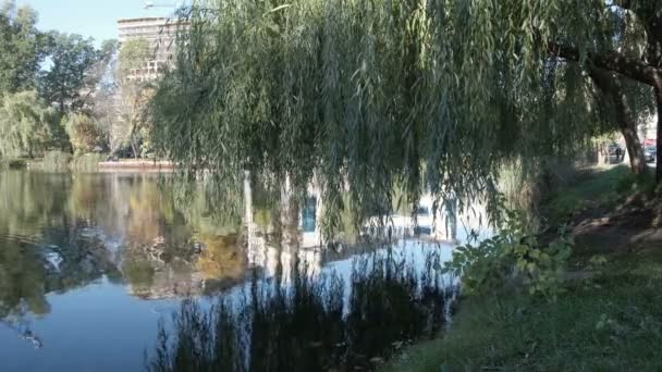 Vista Lago Outono Zona Verde Distrito Goloseevsky Cidade Kiev Ucrânia — Vídeo de Stock