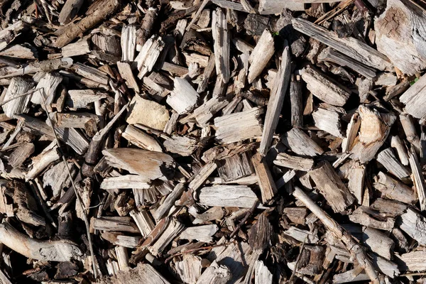 Zemin doğal ahşap gübre katmanıyla kaplıydı. Toprak tonlarını sergiliyordu..