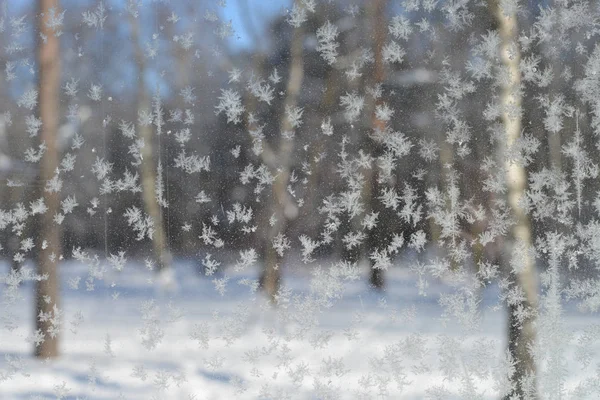 Gelo sobre vidro — Fotografia de Stock