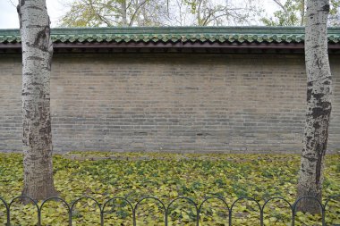 Arka plan Çin tarzı tuğla duvar