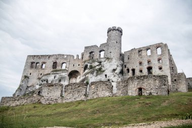 Ogrodzieniec ortaçağ kalesi kalıntıları, Silezya, Polonya.