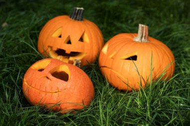 halloweeen kabak çim üzerinde oyulmuş. Jack-o-lantern