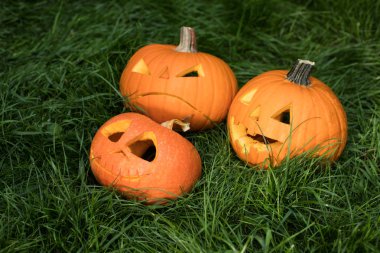 halloweeen kabak çim üzerinde oyulmuş. Jack-o-lantern