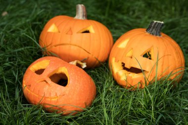 halloweeen kabak çim üzerinde oyulmuş. Jack-o-lantern