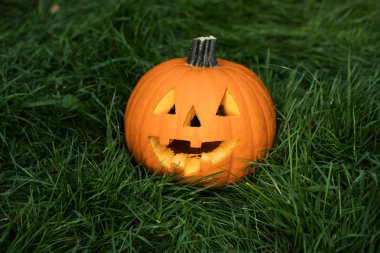 halloweeen kabak çim üzerinde oyulmuş. Jack-o-lantern