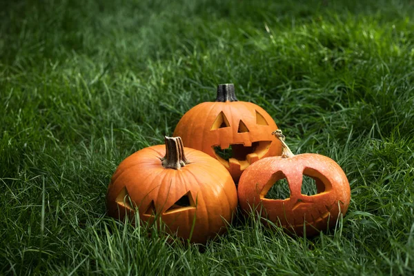 Halloweeen Citrouilles Sculptées Sur Herbe Jack Lanterne — Photo