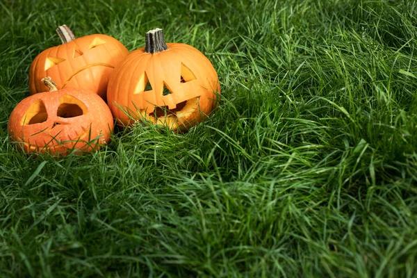 Halloweeen Gesneden Pompoenen Gras Hefboom Lantaarn Rechtenvrije Stockafbeeldingen