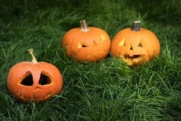 Halloweeen Gesneden Pompoenen Gras Hefboom Lantaarn Stockafbeelding