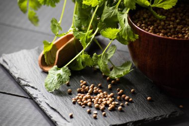 Salantro kişniş baharat