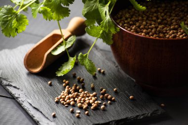 Salantro kişniş baharat