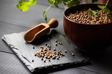 Salantro kişniş baharat