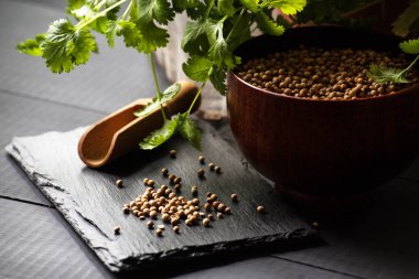 Salantro kişniş baharat