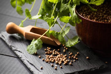 Salantro kişniş baharat