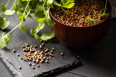 Salantro kişniş baharat