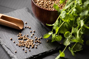 Salantro kişniş baharat