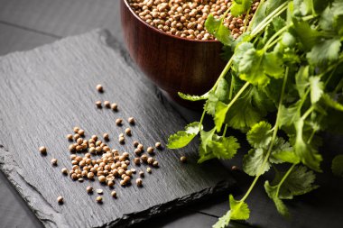 Salantro kişniş baharat