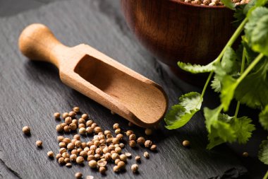 Salantro kişniş baharat