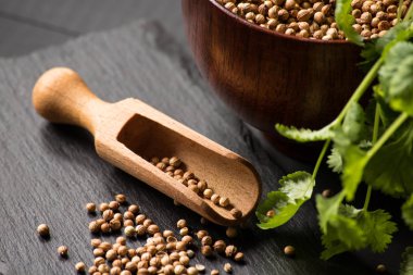 Salantro kişniş baharat