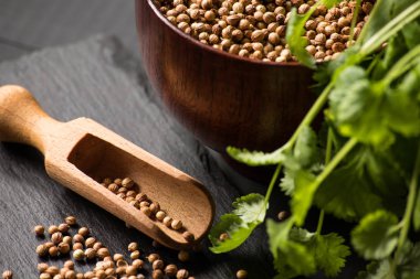 Salantro kişniş baharat