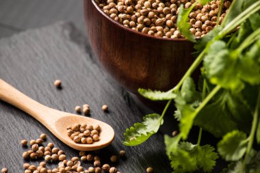 Salantro kişniş baharat