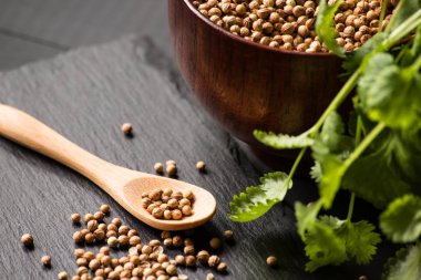 Salantro kişniş baharat