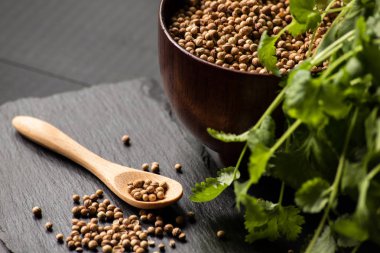 Salantro kişniş baharat