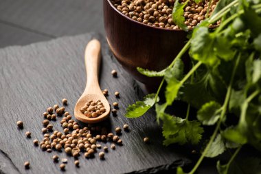 Salantro kişniş baharat