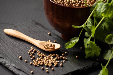 Salantro kişniş baharat