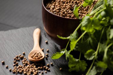 Salantro kişniş baharat