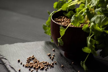 Salantro kişniş baharat