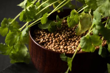 Salantro kişniş baharat