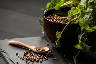 Salantro kişniş baharat