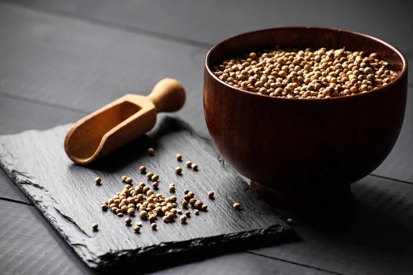 Cilantro Koriander Kruiden Zaden — Stockfoto