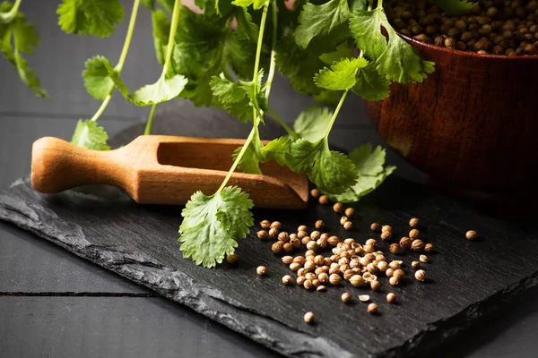 Salantro kişniş baharat