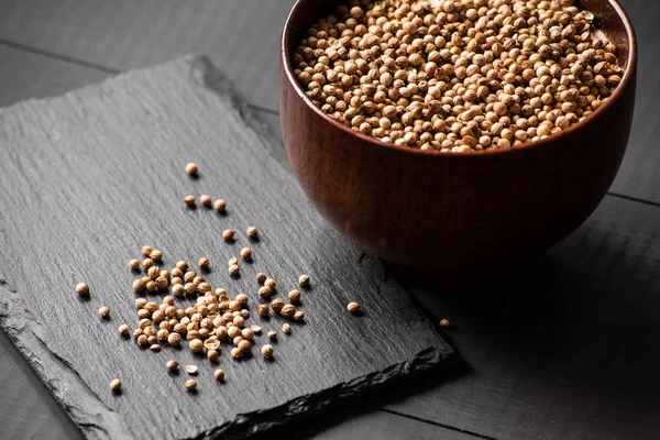 Cilantro Koriander Kruiden Zaden — Stockfoto