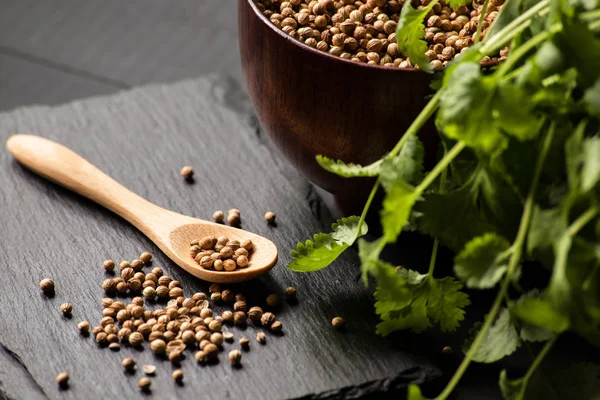 Salantro kişniş baharat