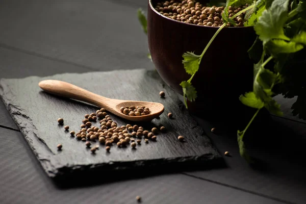 Salantro kişniş baharat