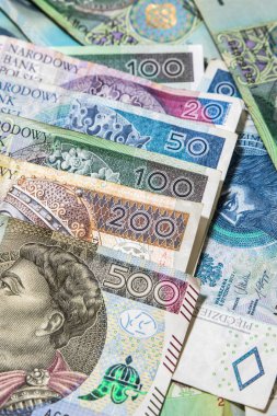 Lehçe para arka plan. Zloty, Polonya para birimi