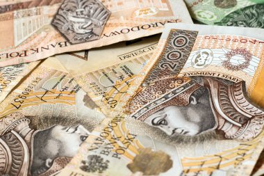 Lehçe para arka plan. Zloty, Polonya para birimi