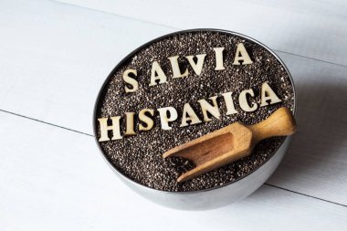 Chia tohumu, salvia hispanica