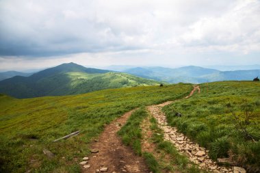 Bieszczady Dağlar Polonya
