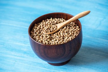 kişniş kişniş tohumları. gıda kavramı fotoğraf