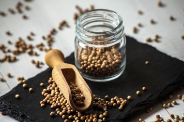 kişniş kişniş tohumları. gıda kavramı fotoğraf