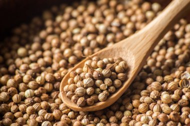 kişniş kişniş tohumları. gıda kavramı fotoğraf