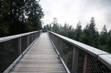 Tatra montains manzaralı ağaçların arasında ahşap yol, adlı 