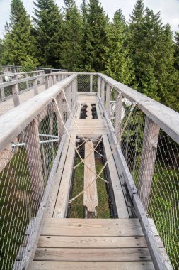 Tatra montains manzaralı ağaçların arasında ahşap yol, adlı 