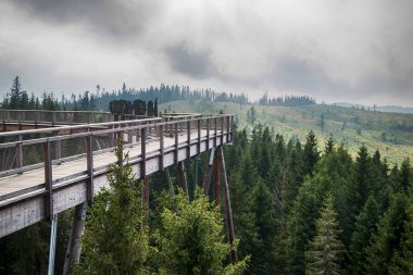 Tatra montains manzaralı ağaçların arasında ahşap yol, adlı 