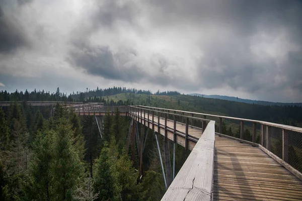 Chemin Bois Parmi Les Arbres Avec Vue Sur Les Monts — Photo