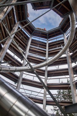Tatra montains manzaralı ağaçların arasında ahşap yol, adlı 
