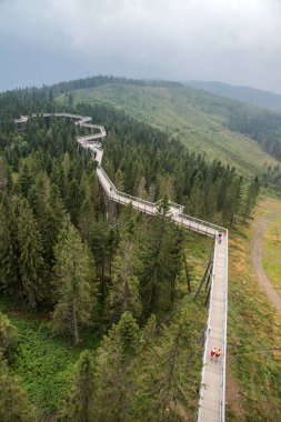 Tatra montains manzaralı ağaçların arasında ahşap yol, adlı 